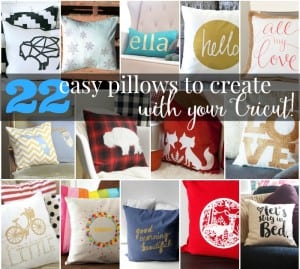 Scandal Pillow + 22 Great Pillows to Make With Your Cricut